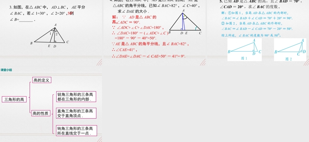 2023-2024学年度北师七下数学4.1 第4课时  三角形的高【课件】.ppt