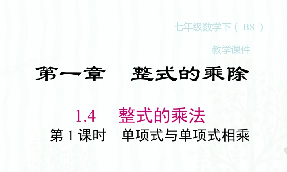 2022-2023学年度北师七下数学1.4 第1课时 单项式与单项式相乘同步课堂课件.ppt