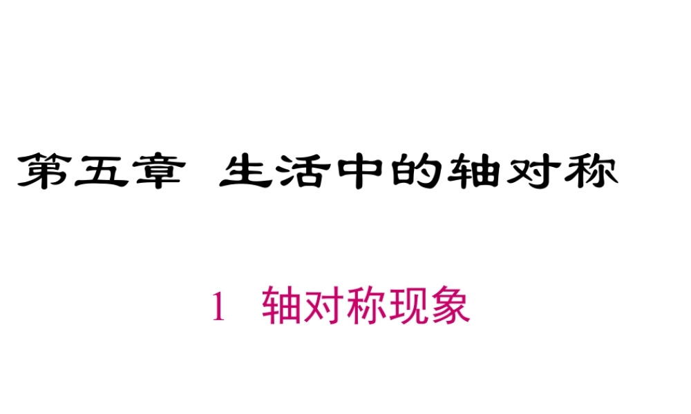 2023-2024学年度北师七下数学5.1 轴对称现象【课件】.ppt