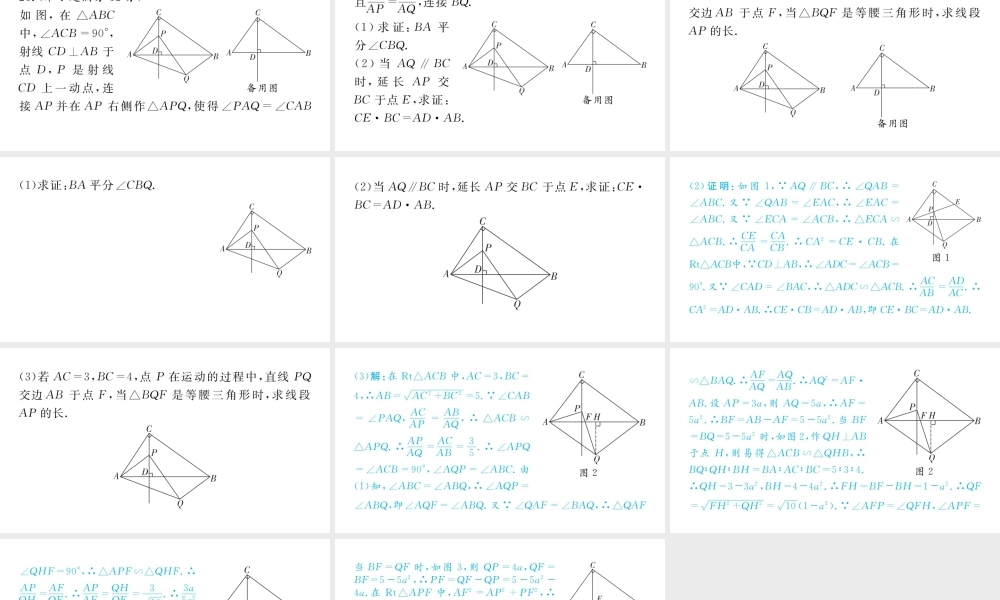 2023届中考数学青羊区一诊试卷【课件】.pptx