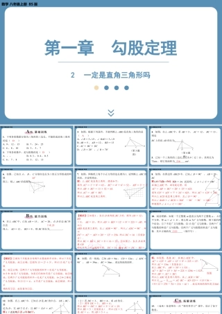 2024-2025学年度北师版八上数学1.2一定是直角三角形吗【课外培优课件】.pptx