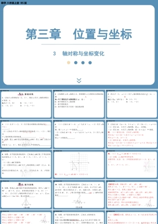 2024-2025学年度北师版八上数学3.3轴对称与坐标变化（课外培优课件）.pptx