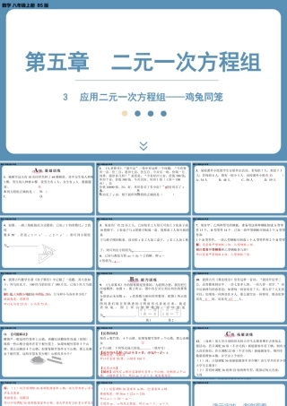 2024-2025学年度北师版八上数学5.3应用二元一次方程组——鸡兔同笼【课外培优课件】.pptx