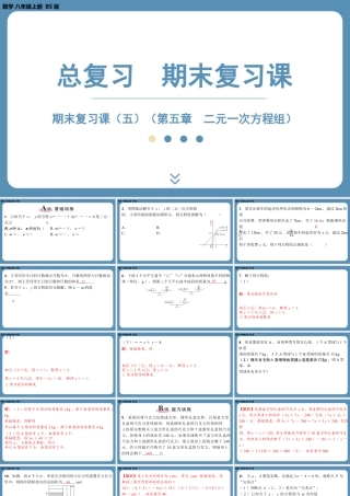 2024-2025学年度北师版八上数学-期末复习课五（第五章二元一次方程组）【课外培优课件】.pptx