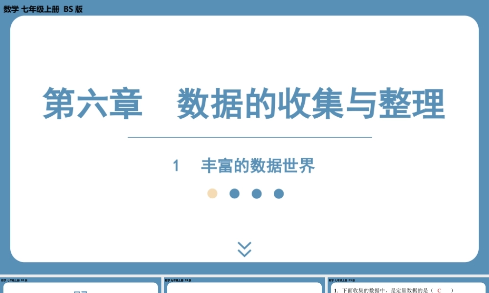 2024-2025学年度北师版七上数学6.1丰富的数据世界【课外培优课件】.pptx