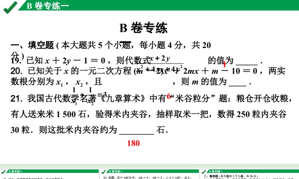 2024成都中考数学B卷专项强化训练01.B卷专练一课件.pptx