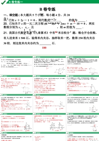 2024成都中考数学B卷专项强化训练01.B卷专练一课件.pptx