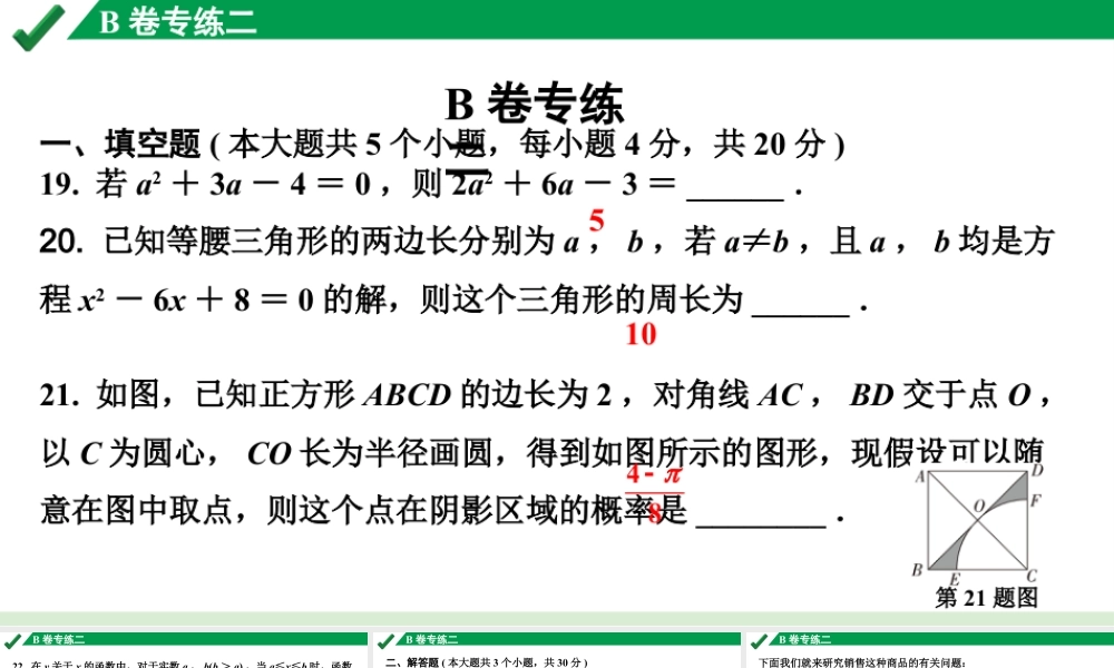 2024成都中考数学B卷专项强化训练02.B卷专练二课件.pptx