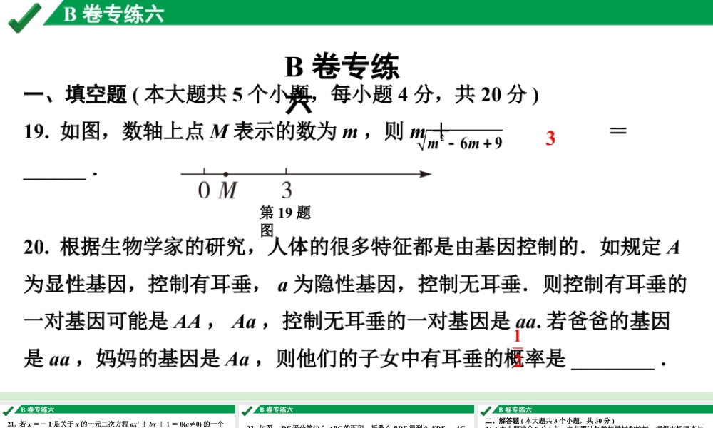 2024成都中考数学B卷专项强化训练06.B卷专练六课件.pptx