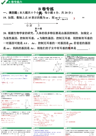 2024成都中考数学B卷专项强化训练06.B卷专练六课件.pptx