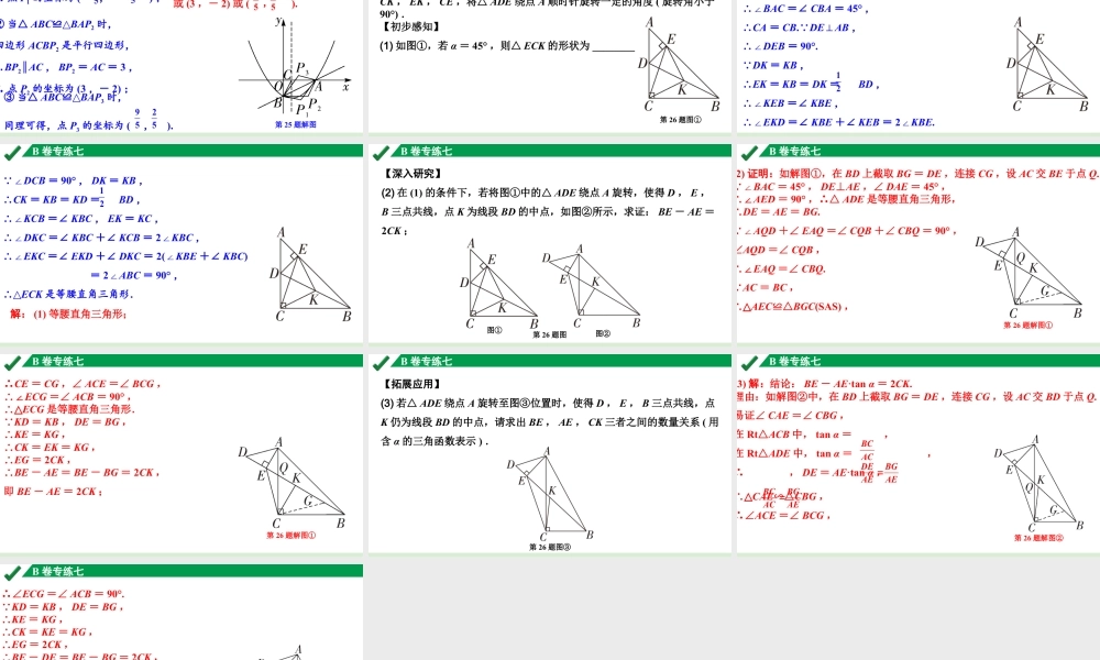 2024成都中考数学B卷专项强化训练07.B卷专练七课件.pptx