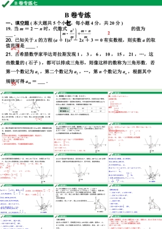 2024成都中考数学B卷专项强化训练07.B卷专练七课件.pptx