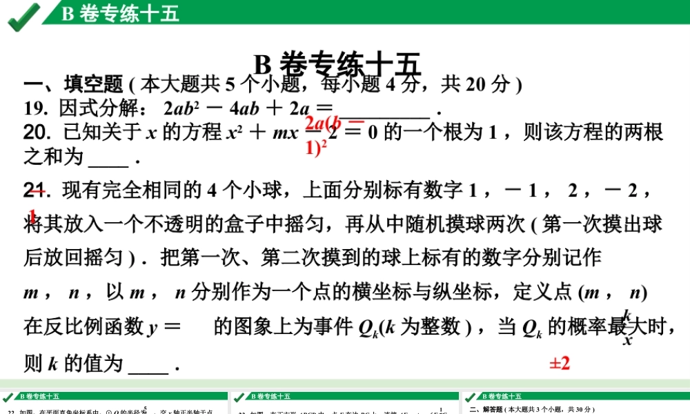 2024成都中考数学B卷专项强化训练15.B卷专练十五课件.pptx