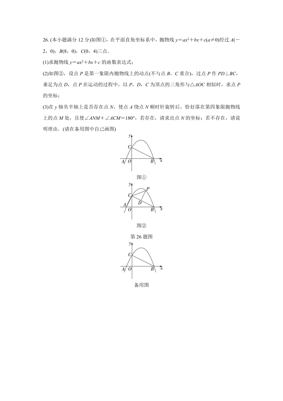 2024成都中考数学B卷专项强化训练八 (含答案).pdf_第3页