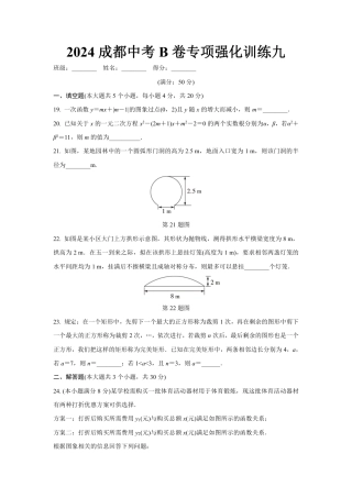 2024成都中考数学B卷专项强化训练九 (含答案).pdf