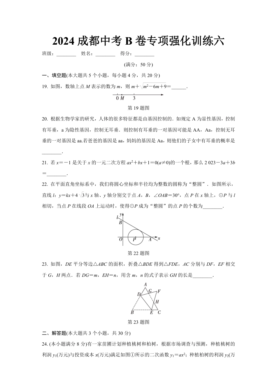 2024成都中考数学B卷专项强化训练六 (含答案).pdf_第1页