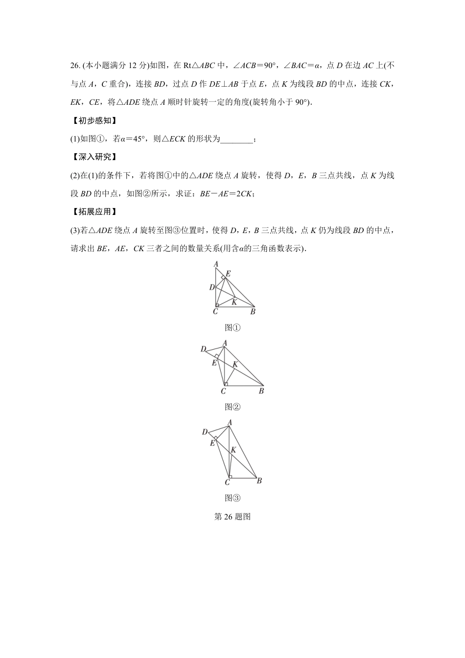 2024成都中考数学B卷专项强化训练七 (含答案).pdf_第3页