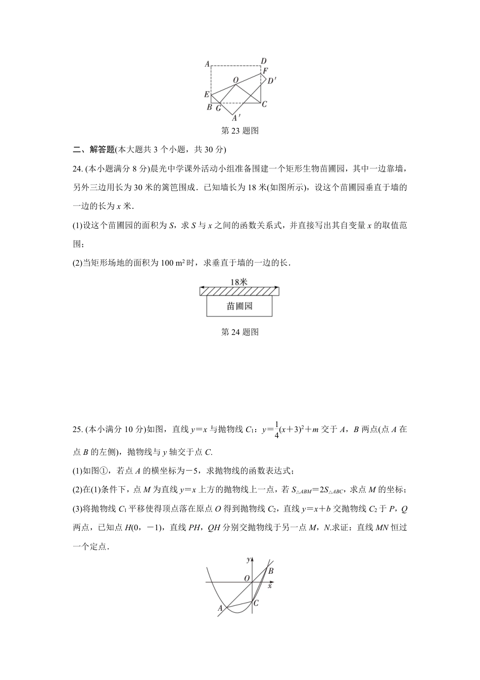 2024成都中考数学B卷专项强化训练十 (含答案).pdf_第2页