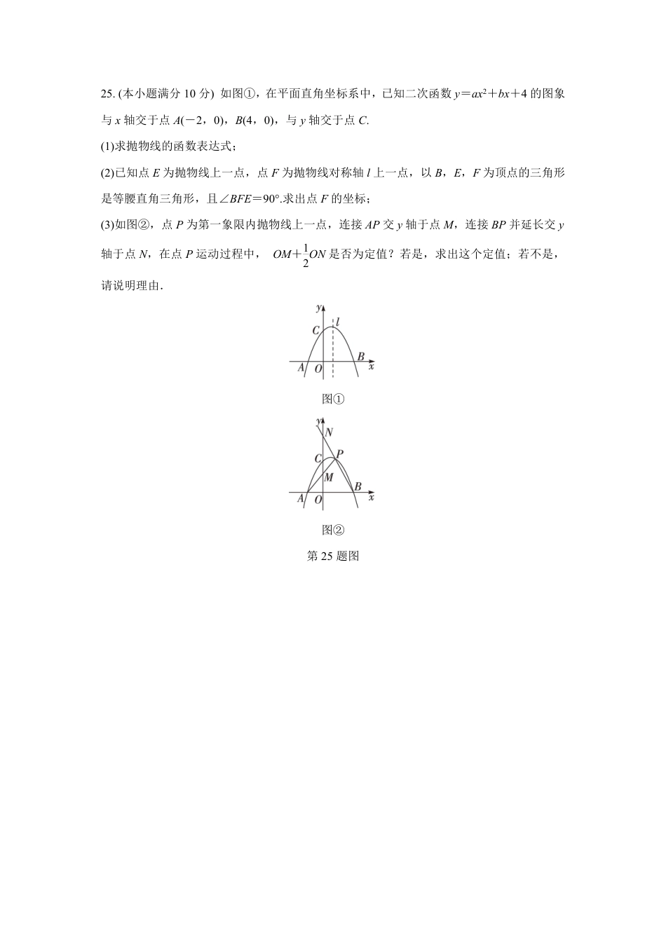 2024成都中考数学B卷专项强化训练十二 (含答案).pdf_第3页