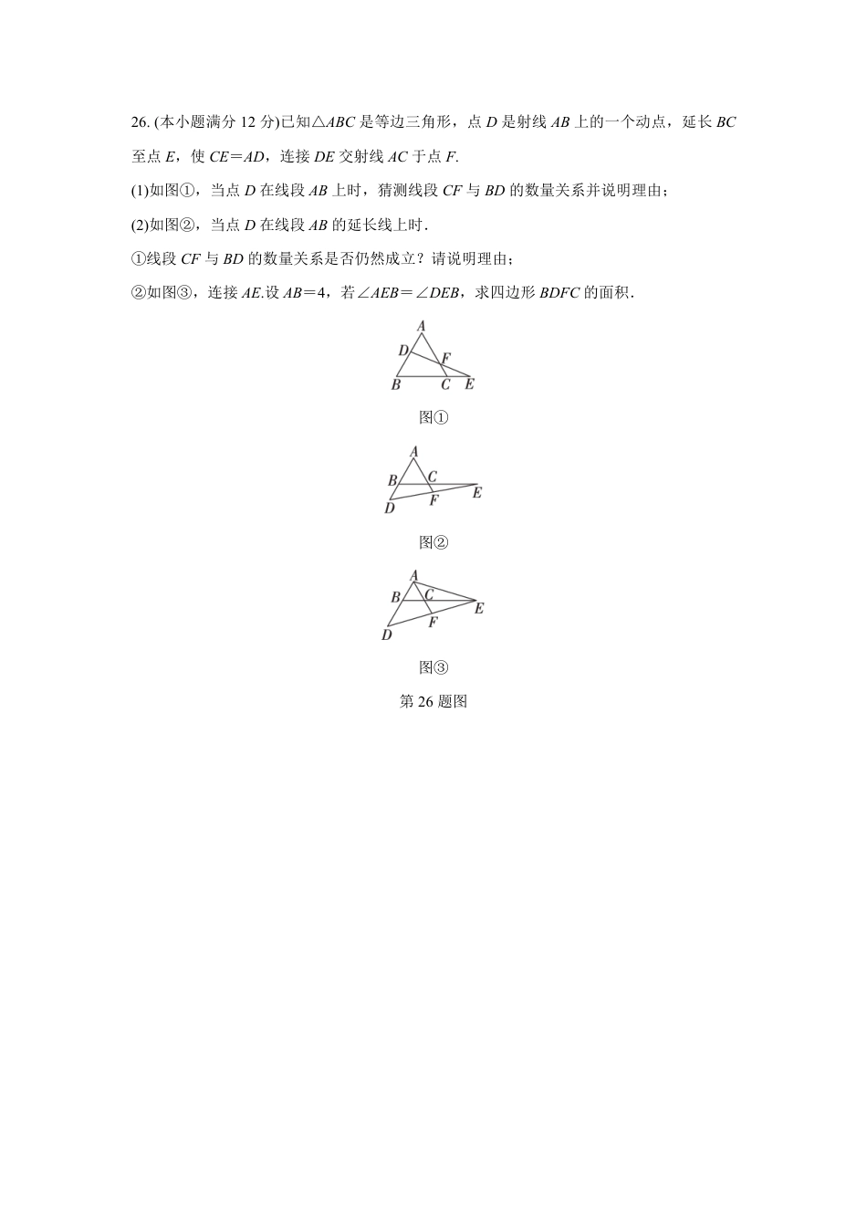 2024成都中考数学B卷专项强化训练十二 (含答案).pdf_第4页