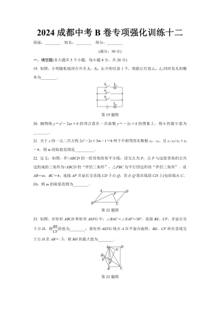 2024成都中考数学B卷专项强化训练十二 (含答案).pdf