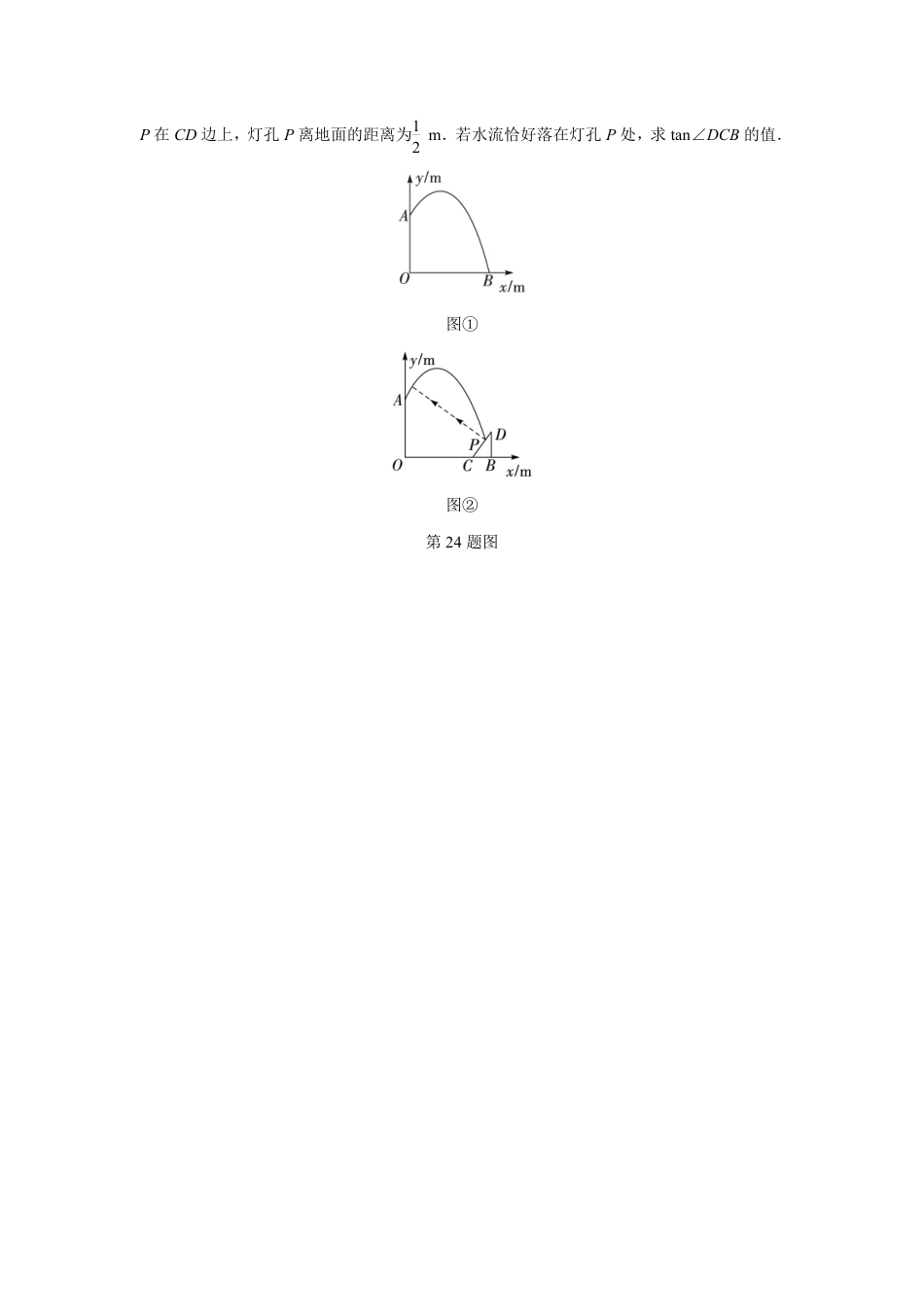 2024成都中考数学B卷专项强化训练十三 (含答案).pdf_第2页