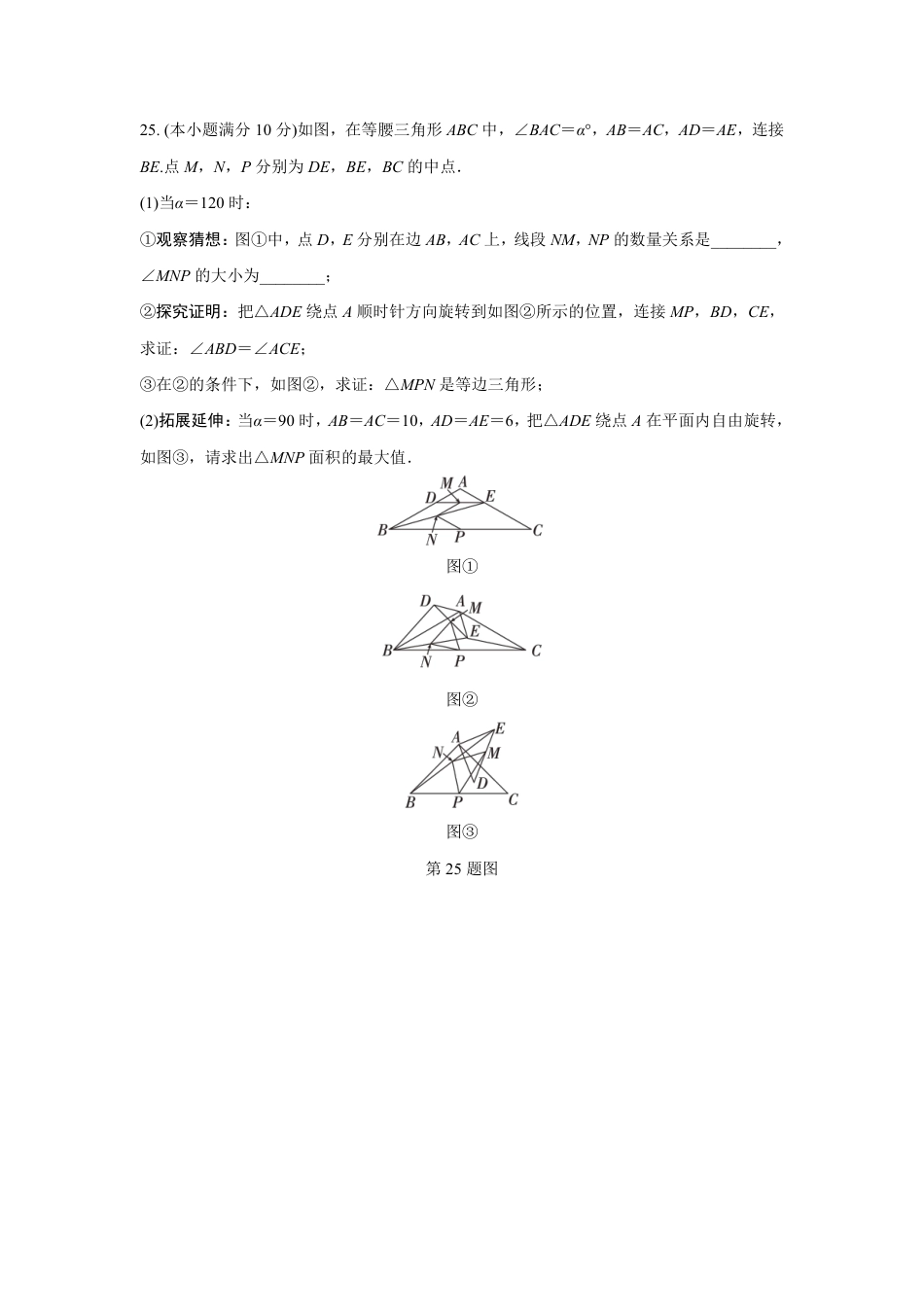 2024成都中考数学B卷专项强化训练十三 (含答案).pdf_第3页