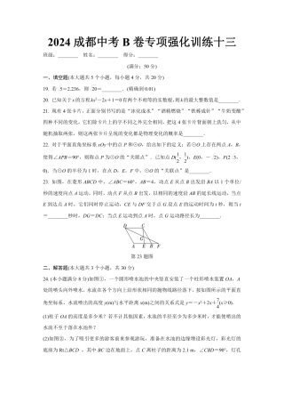 2024成都中考数学B卷专项强化训练十三 (含答案).pdf