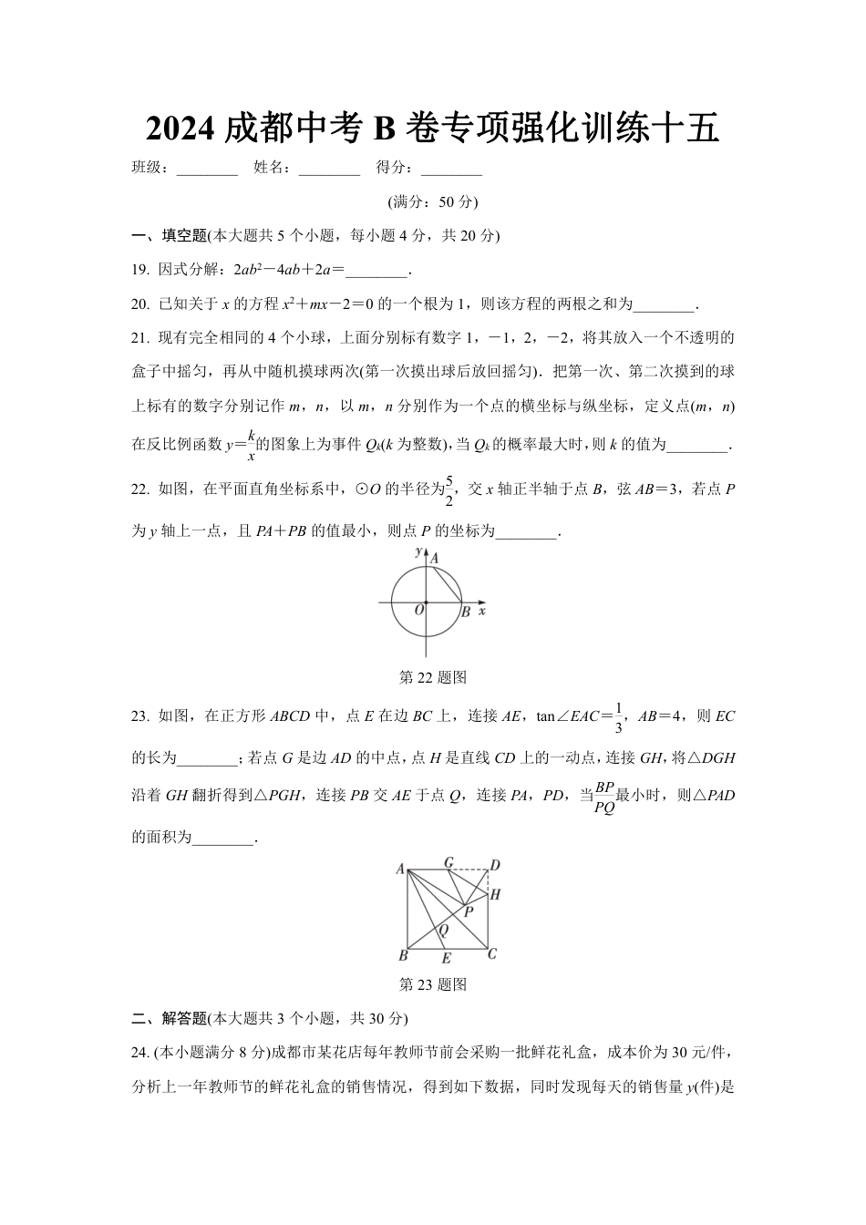 2024成都中考数学B卷专项强化训练十五 (含答案).pdf_第1页