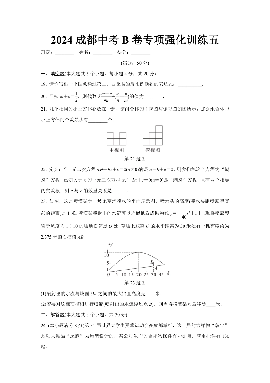 2024成都中考数学B卷专项强化训练五 (含答案).pdf_第1页