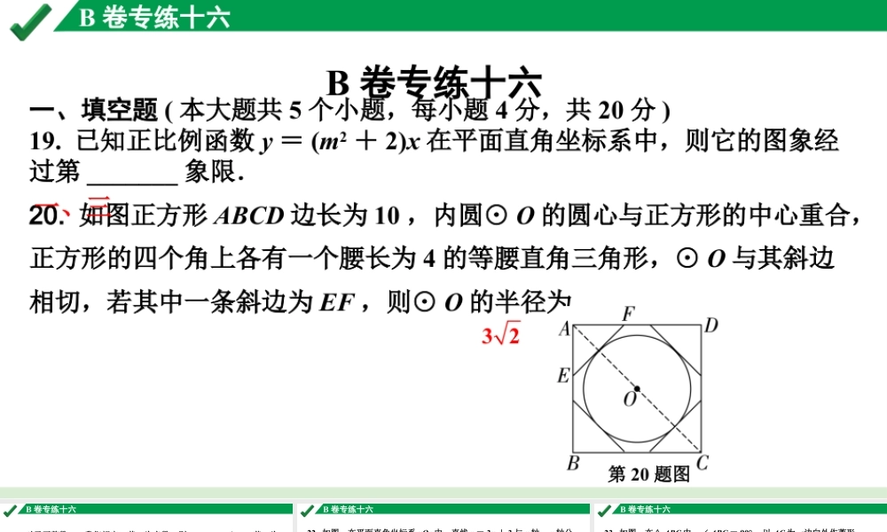 2024成都中考数学B卷专项强化专练十六课件.pptx