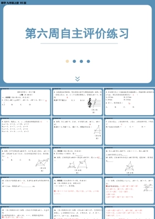 2024-2025学年度北师版九上数学-第六周自主评价练习【上课课件】.pptx