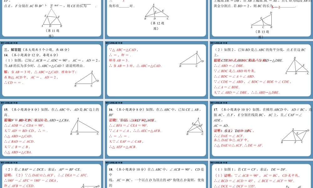 2024-2025学年度北师版九上数学-第七周自主评价练习【上课课件】.pptx