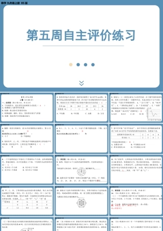 2024-2025学年度北师版九上数学-第五周自主评价练习【上课课件】.pptx