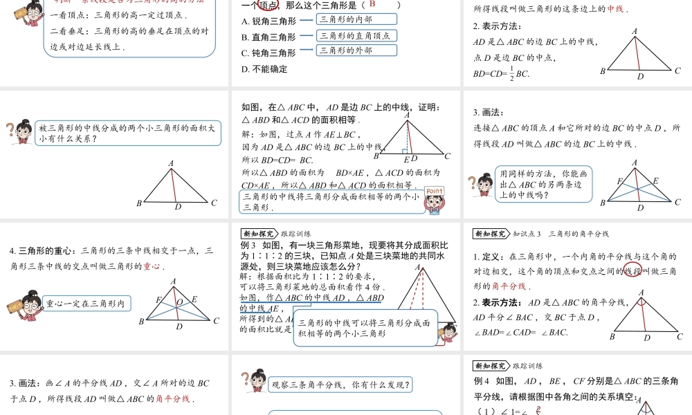 2024-2025学年度人教版八上数学11.1与三角形有关的线段课时2【上课课件】.pptx