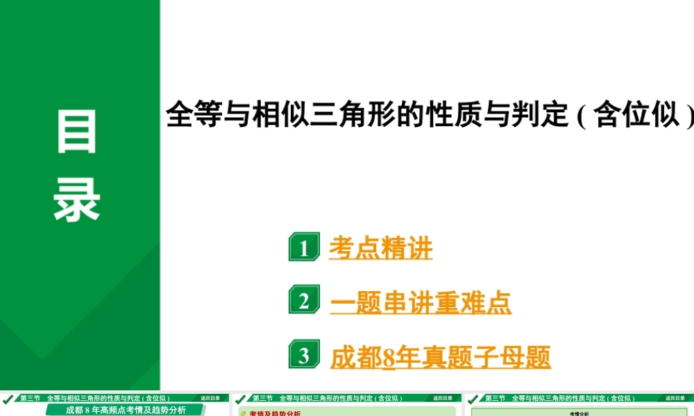 2024成都中考数学第一轮专题复习 全等与相似三角形的性质与判定(含位似)  课件.pptx