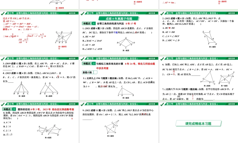 2024成都中考数学第一轮专题复习 全等与相似三角形的性质与判定(含位似)  课件.pptx