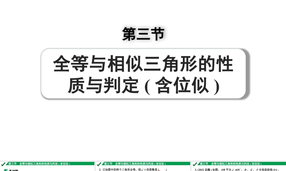 2024成都中考数学第一轮专题复习之第四章 第三节 全等与相似三角形的性质与判定（含位似） 练习课件.pptx