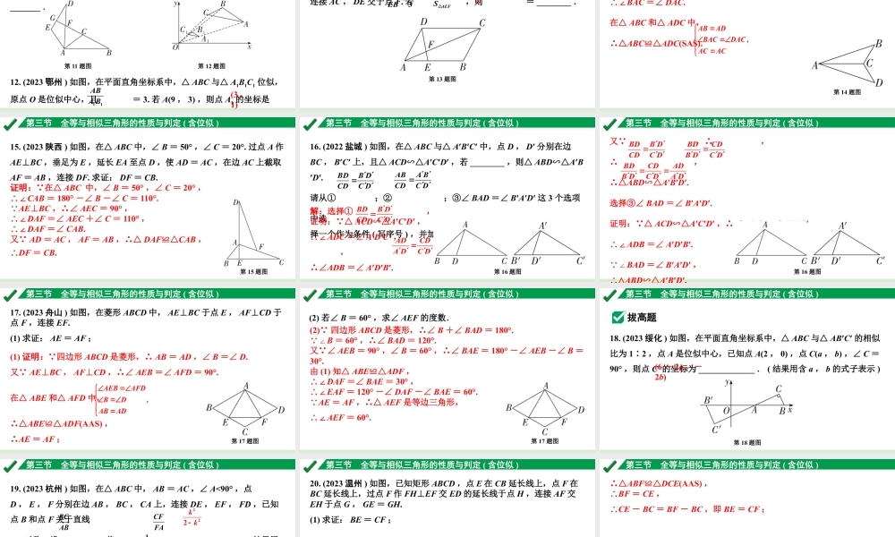 2024成都中考数学第一轮专题复习之第四章 第三节 全等与相似三角形的性质与判定（含位似） 练习课件.pptx