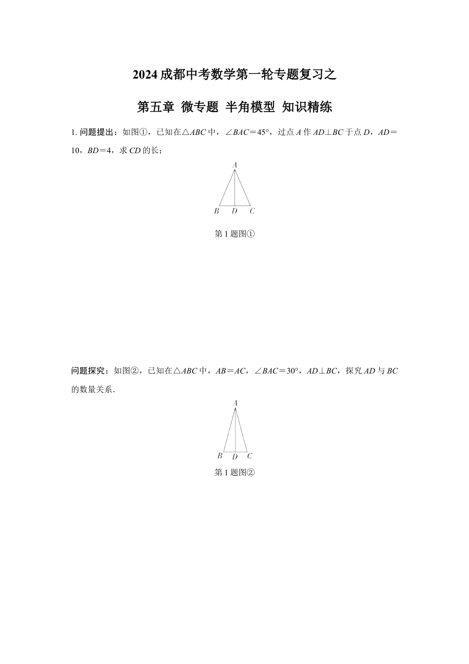 2024成都中考数学第一轮专题复习之第五章 微专题 半角模型 知识精练(含答案).docx_第1页