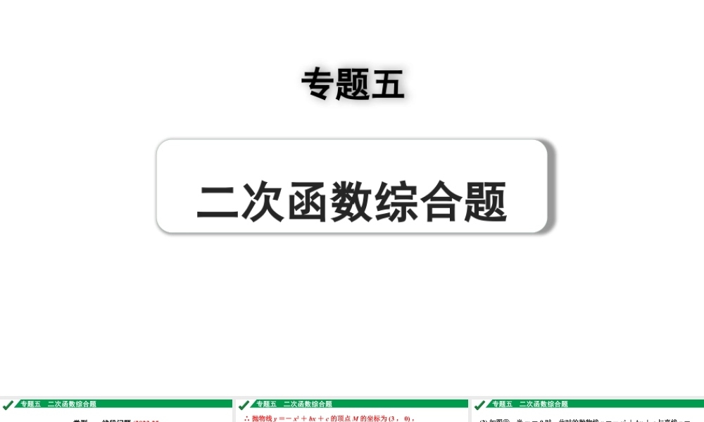 2024成都中考数学第一轮专题复习之专题五  类型一  线段问题 教学课件.pptx