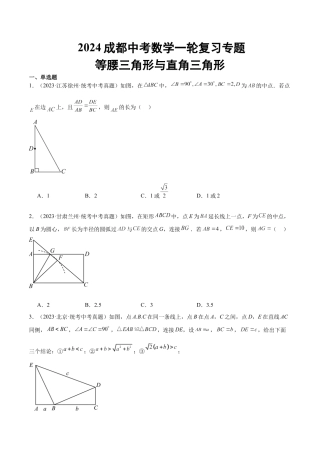 2024成都中考数学一轮复习专题 等腰三角形与直角三角形 (含解析).docx