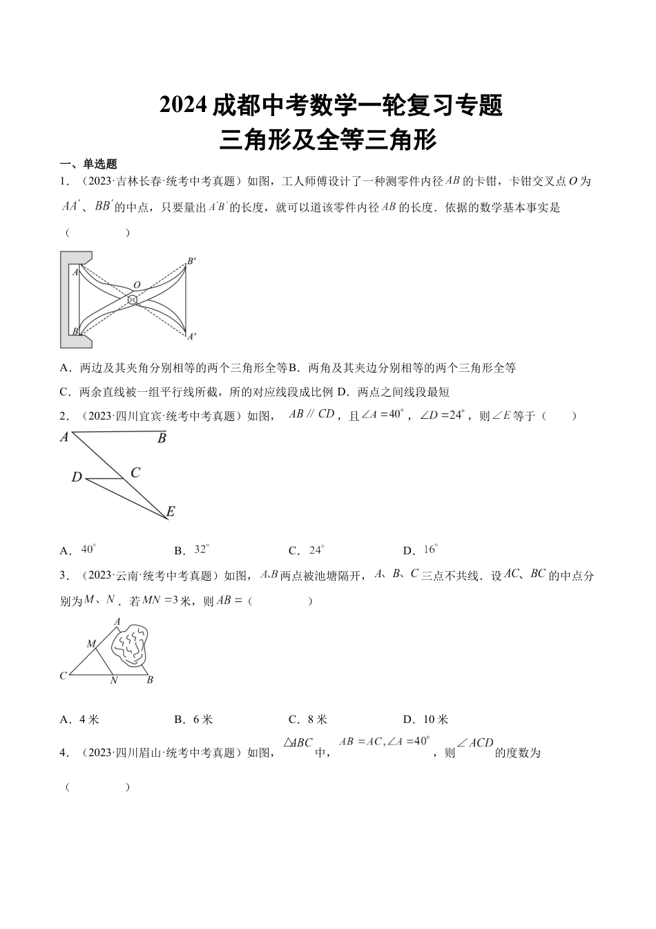 2024成都中考数学一轮复习专题 三角形及全等三角形 (含解析).docx_第1页