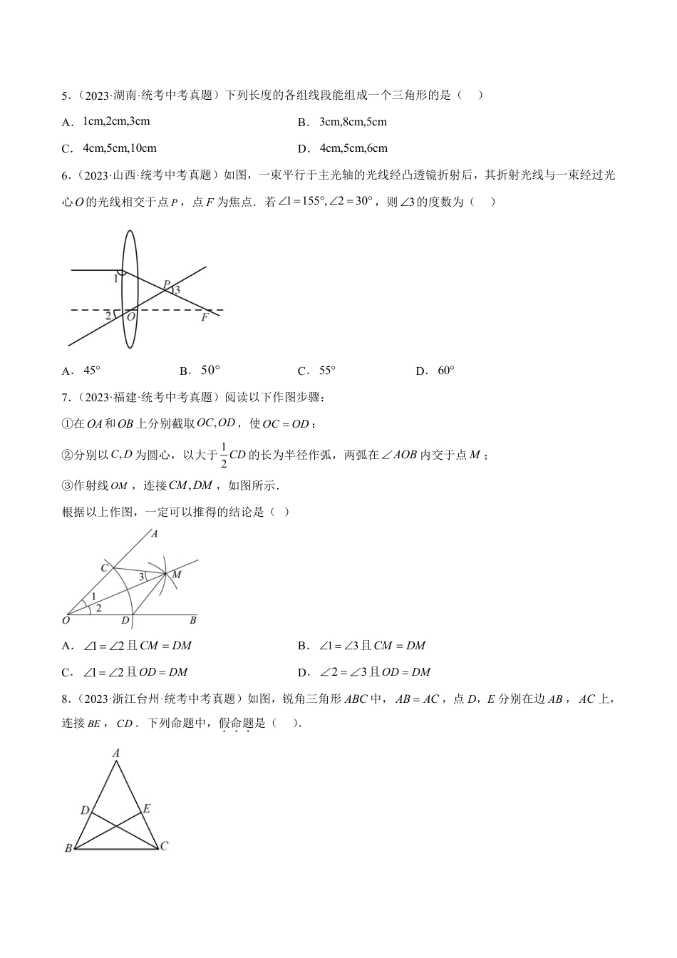 2024成都中考数学一轮复习专题 三角形及全等三角形 (含解析).pdf_第2页