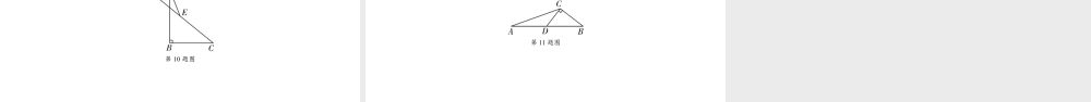 2024海南中考数学二轮复习 微专题 遇到中点如何添加辅助线（课件）.pptx