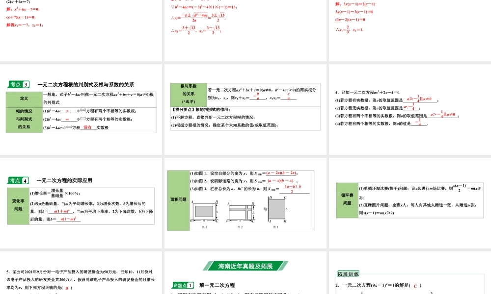 2024海南中考数学二轮重点专题研究 第7课时  一元二次方程及其应用（课件）.pptx