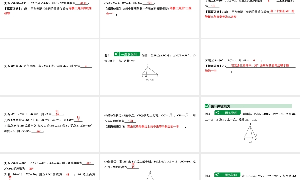 2024海南中考数学二轮重点专题研究 第17课时  等腰三角形与直角三角形（课件）.pptx