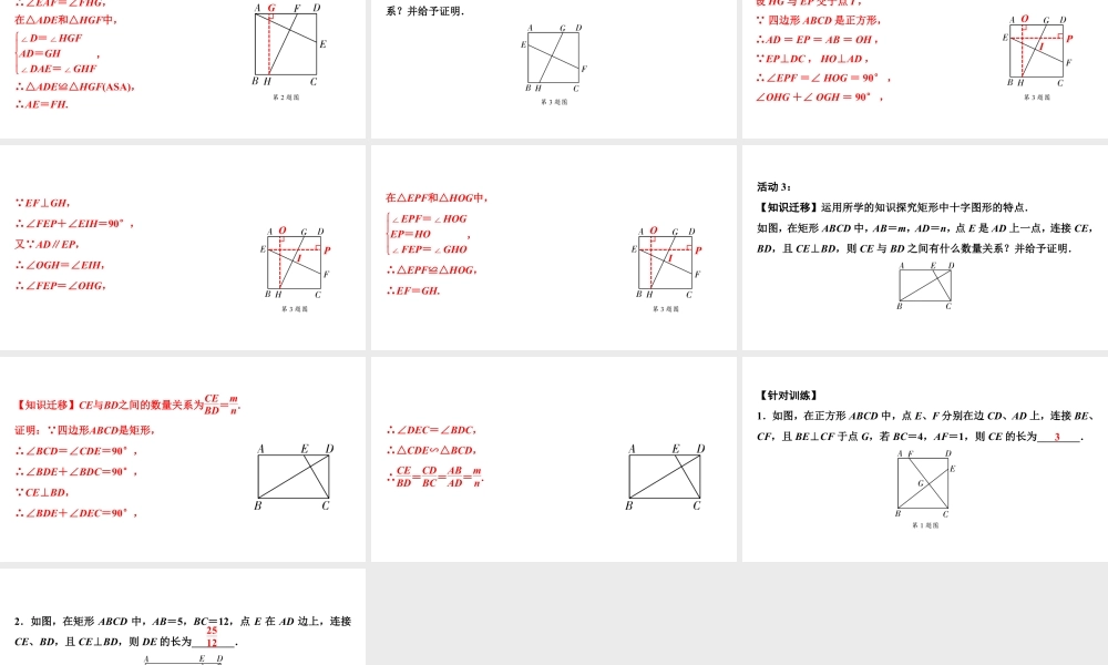 2024海南中考数学二轮重点专题研究 微专题  十字模型（课件）.pptx