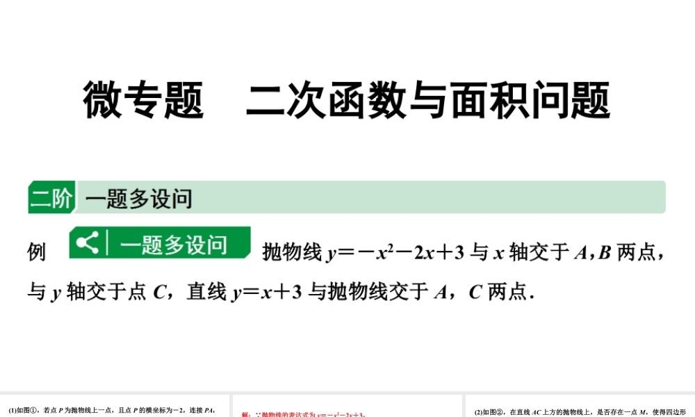 2024海南中考数学二轮重点专题研究 微专题 二次函数与面积问题（课件）.pptx