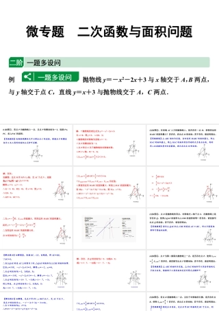 2024海南中考数学二轮重点专题研究 微专题 二次函数与面积问题（课件）.pptx